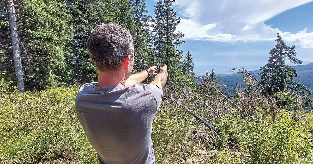 Tisztelt Szőcs András!